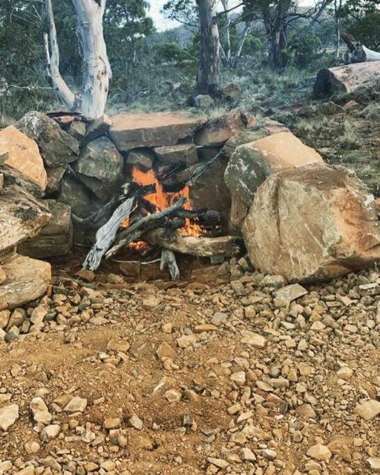 Great Lakes Wilderness Three Bedroom Home Miena エクステリア 写真